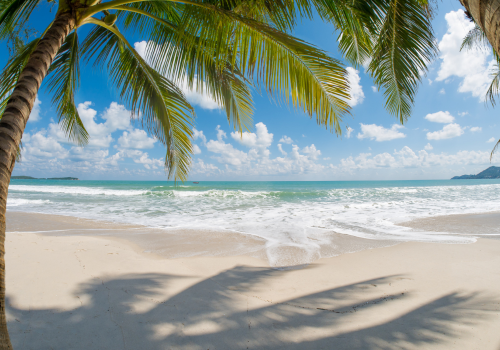 Hire Taxi Cab in Goa for Goa Sightseeing